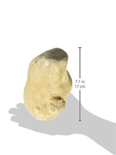 Large Gorilla Chew Natural - 1 pc