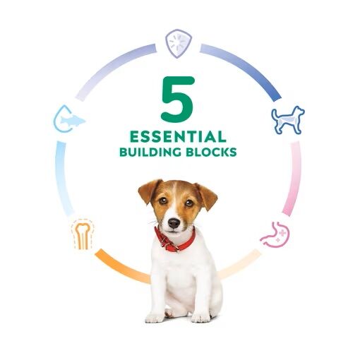Puppy Small Bites Chicken & Brown Rice Recipe Dog Food