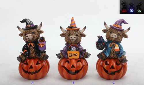 5.7" Highland Cow with Pumpkin Decor