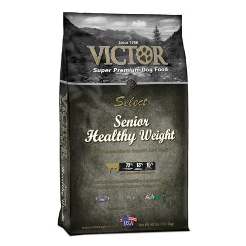 Select Senior Healthy Weight Dog Food - 40 Lb
