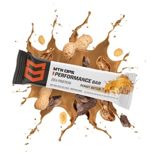 Peanut Butter Bliss Performance Protein Bar - Single Serving
