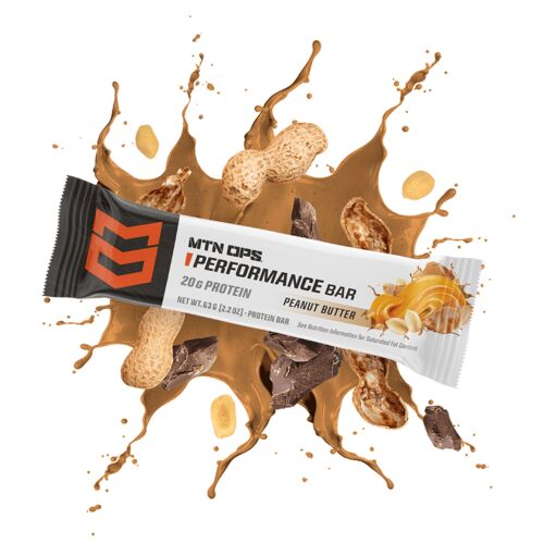 Peanut Butter Bliss Performance Protein Bar - Single Serving