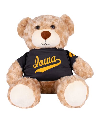 Iowa Hawkeyes Plush Bear