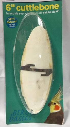 Bird Basics 6 Cuttlebone