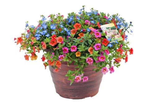 12" Patio Planter