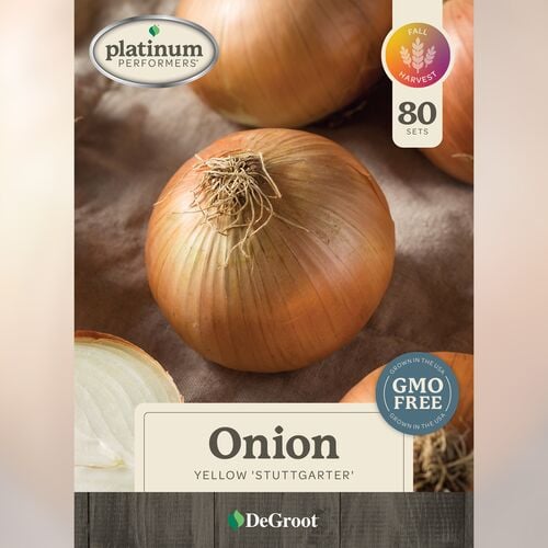 Onion - Yellow 'Stuttgarter' 80 Sets