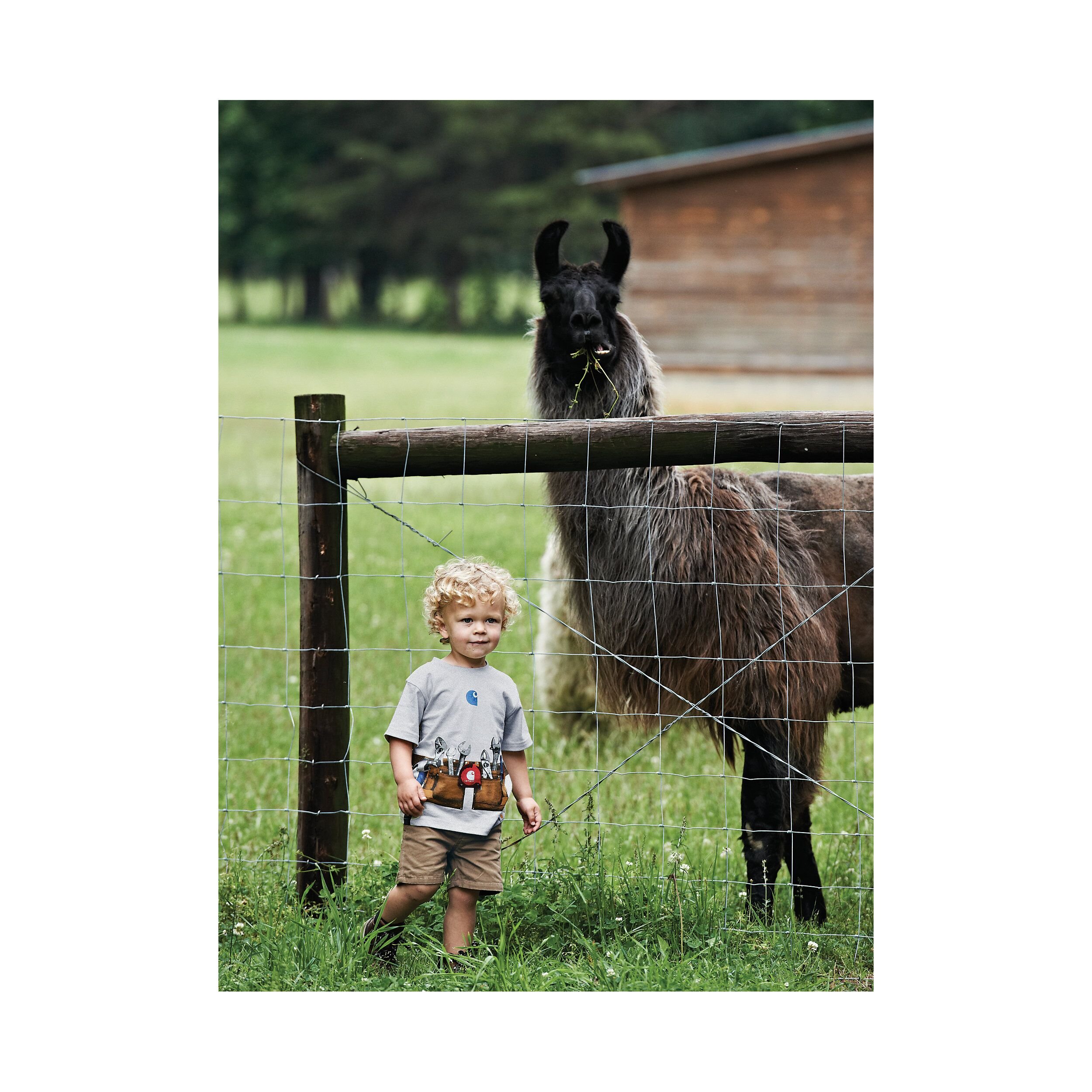 Boys' Short Sleeve Toolbelt T-Shirt