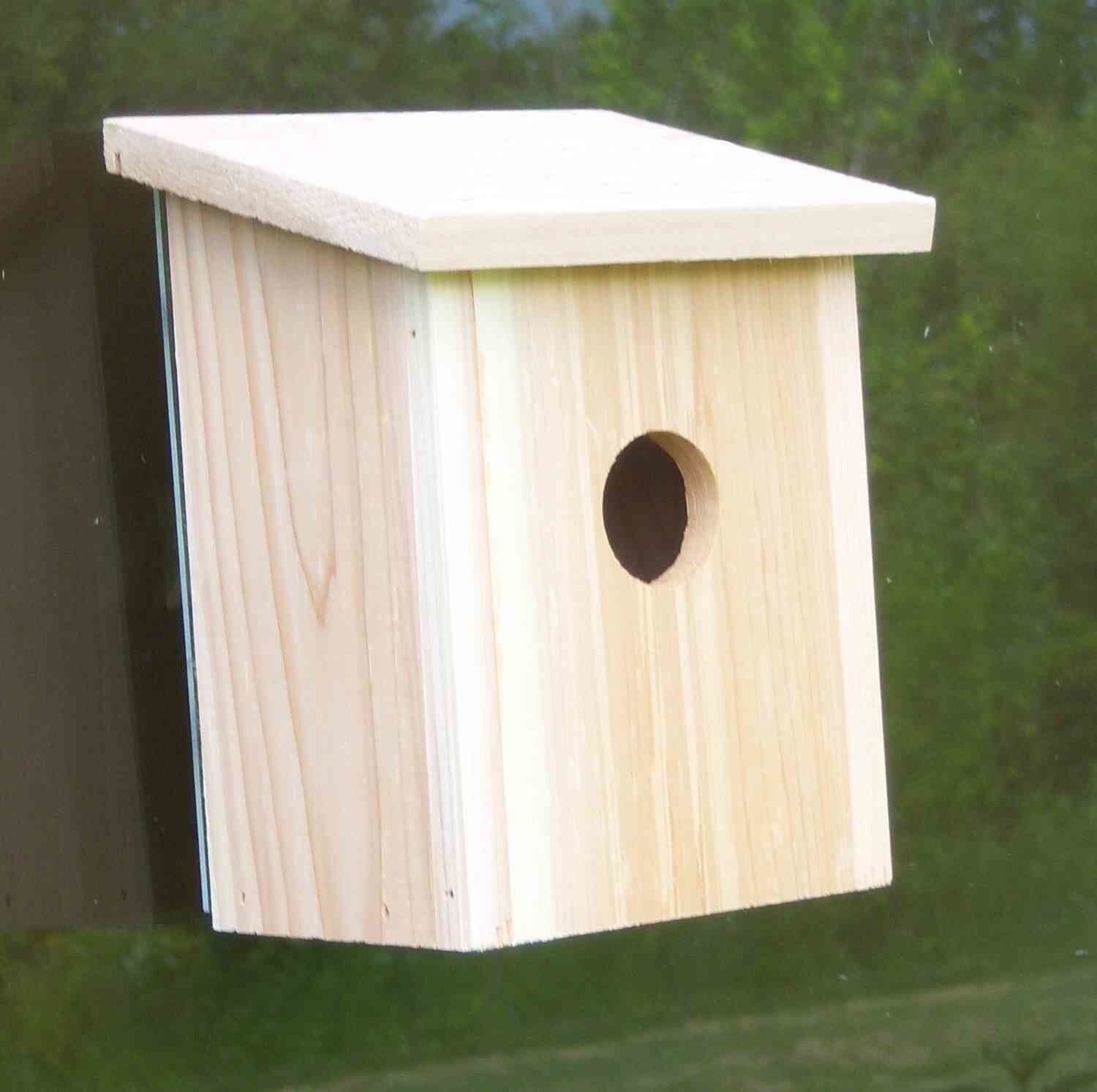 Songbird Essentials Nest View Bird House - Thumbnail 5