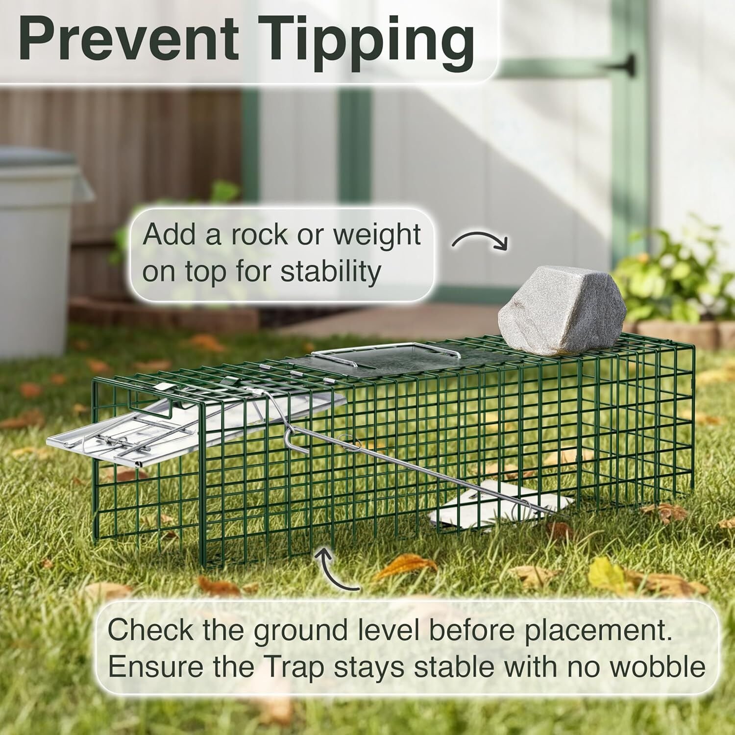 Homestead Homestead Rapid Set Live Trap 2 Pack, Small & Large