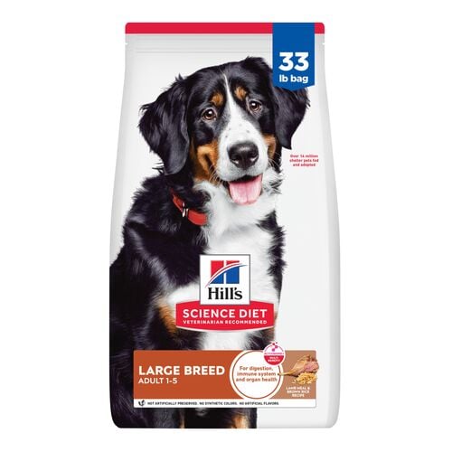 Adult Large Breed Lamb Meal & Brown Rice Recipe Dog Food - 33 Lb