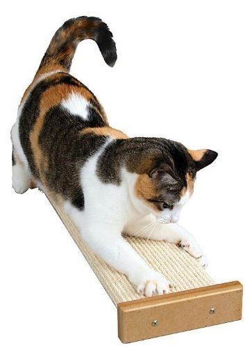 Bootsie's Combination Scratcher