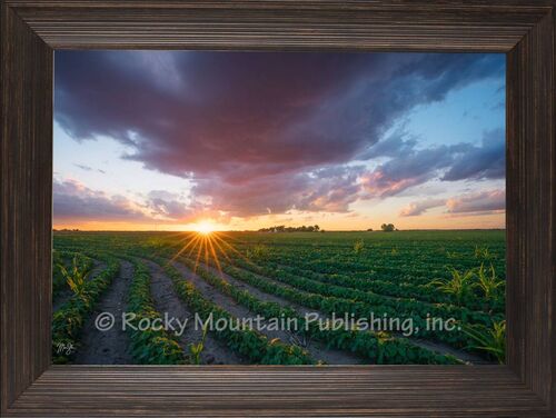 Sunset of the American Heartland Wall Art - 7" x 10"