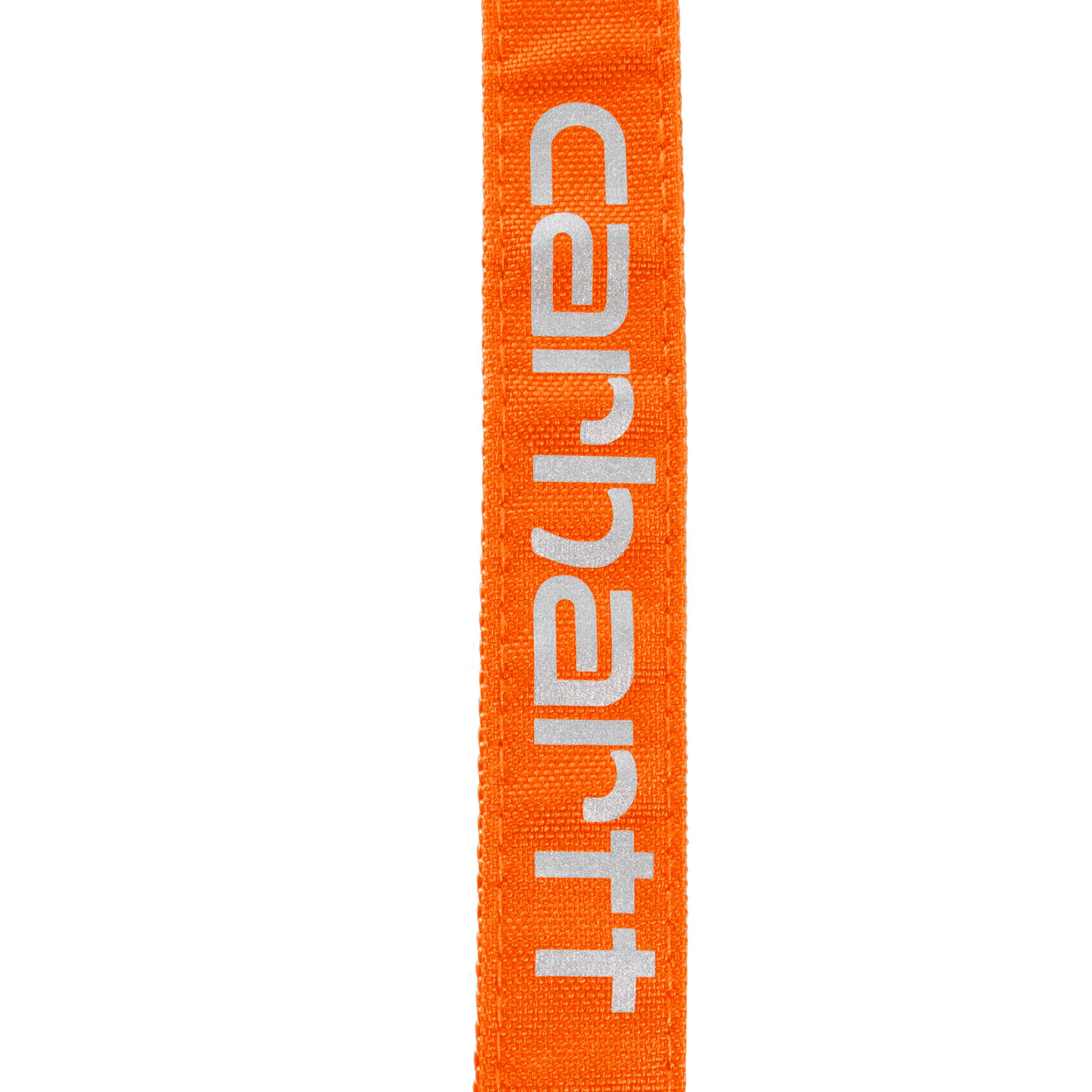 Adjustable Field Dog Leash