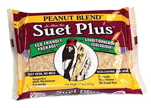 Suet Plus Peanut Blend Suet Cake - 11 oz