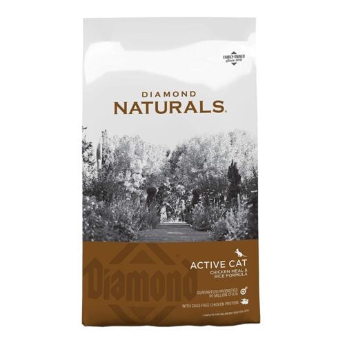 Active Cat Chicken Meal & Rice Dry Cat Food - 18 lb Bag