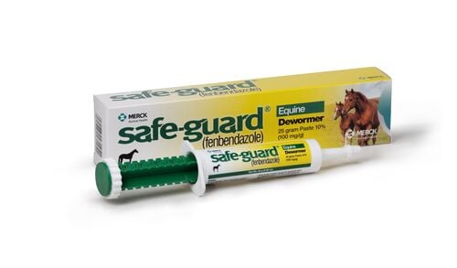 Horse Dewormer Paste - 25 gm