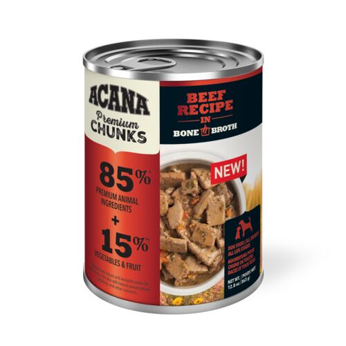 Premium Chunks Beef Recipe Wet Dog Food - 12.8 oz