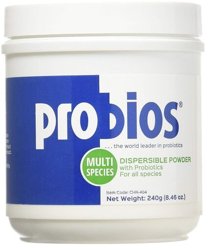 Dispersible Digestive Powder - 240 Grams