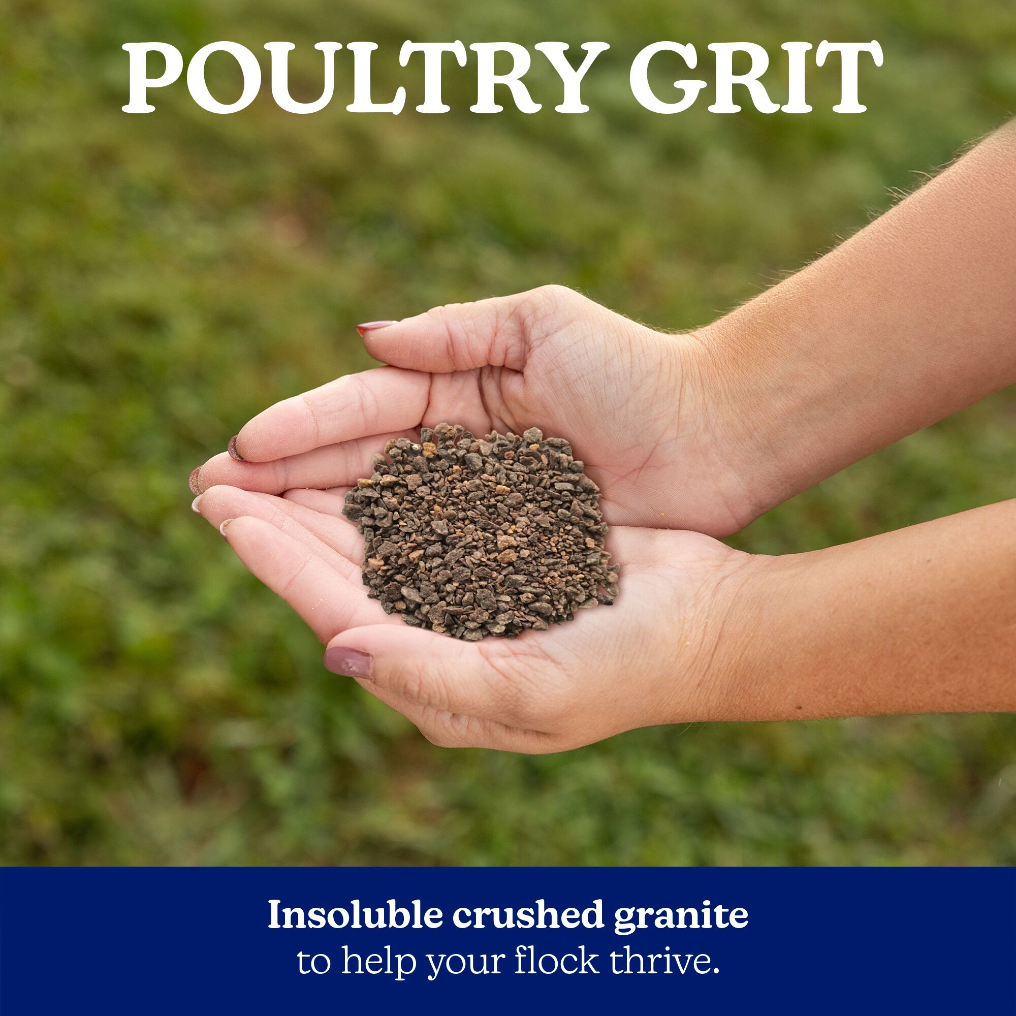 Nutrena NatureWise Poultry Grit - 7 lb