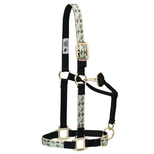 1" Adjustable Average Cactus Halter