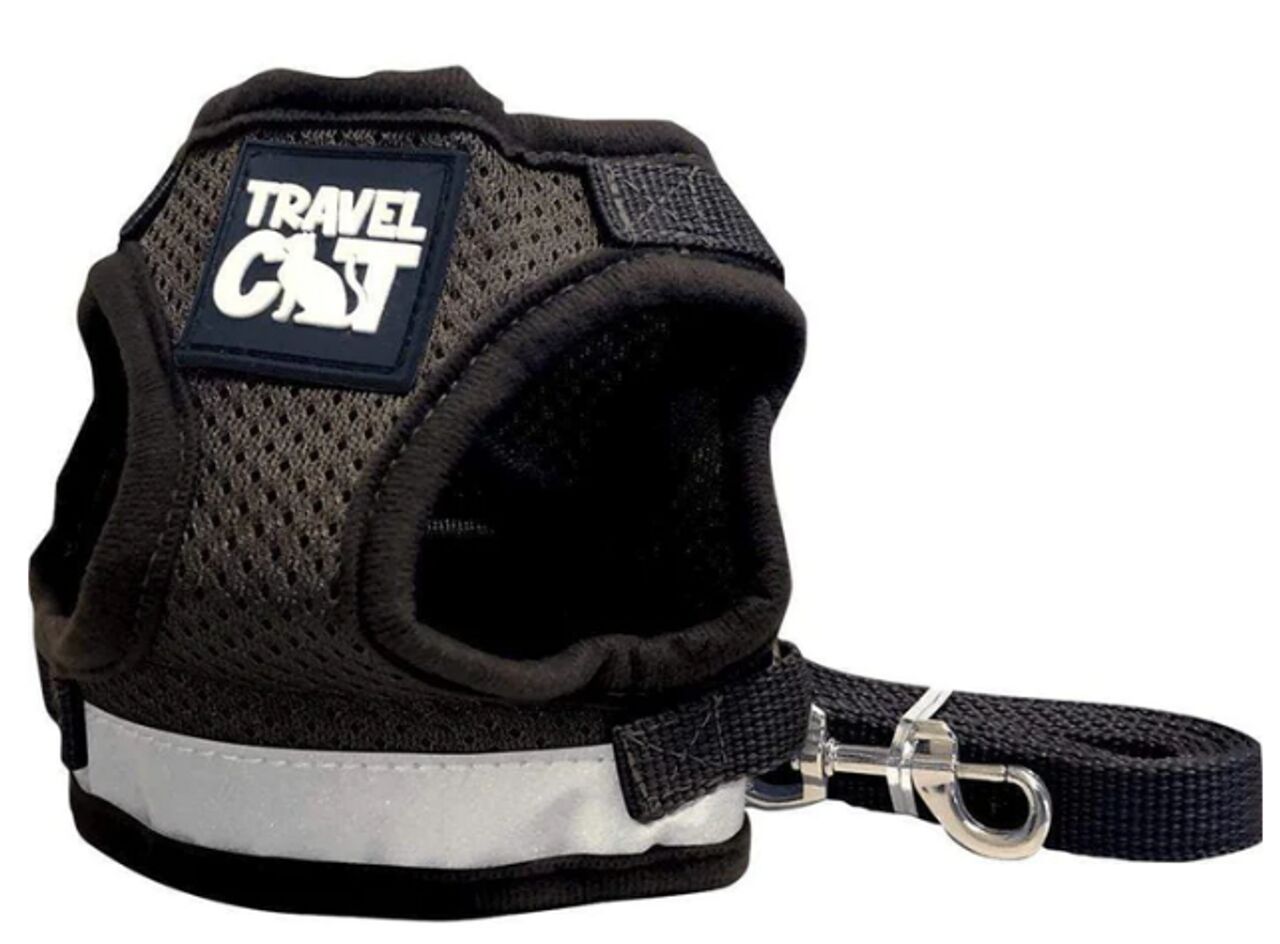 Harness and Leash Set