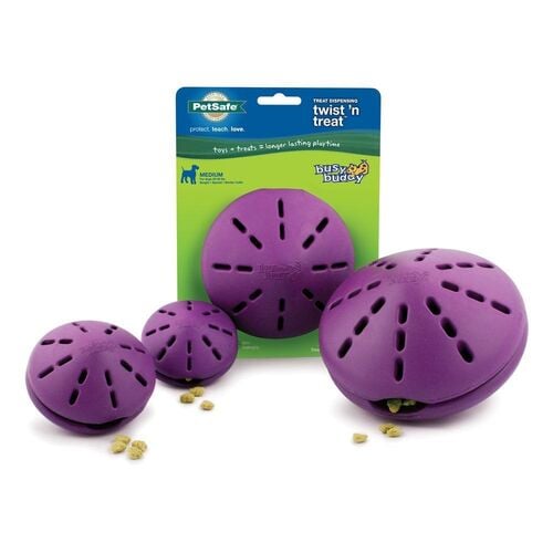 Busy Buddy Twist 'n Treat Large Dog Toy