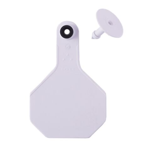 All-American 3* Medium Blank 2-Piece Ear Tag in White - 25 Tags