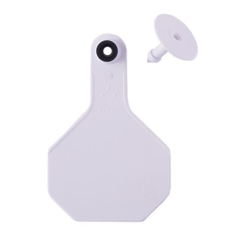 All-American 3* Medium Blank 2-Piece Ear Tag in White - 25 Tags