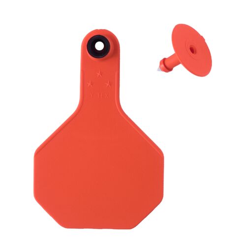 All-American 3* Medium Blank 2-Piece Ear Tag in Orange - 25 Tags