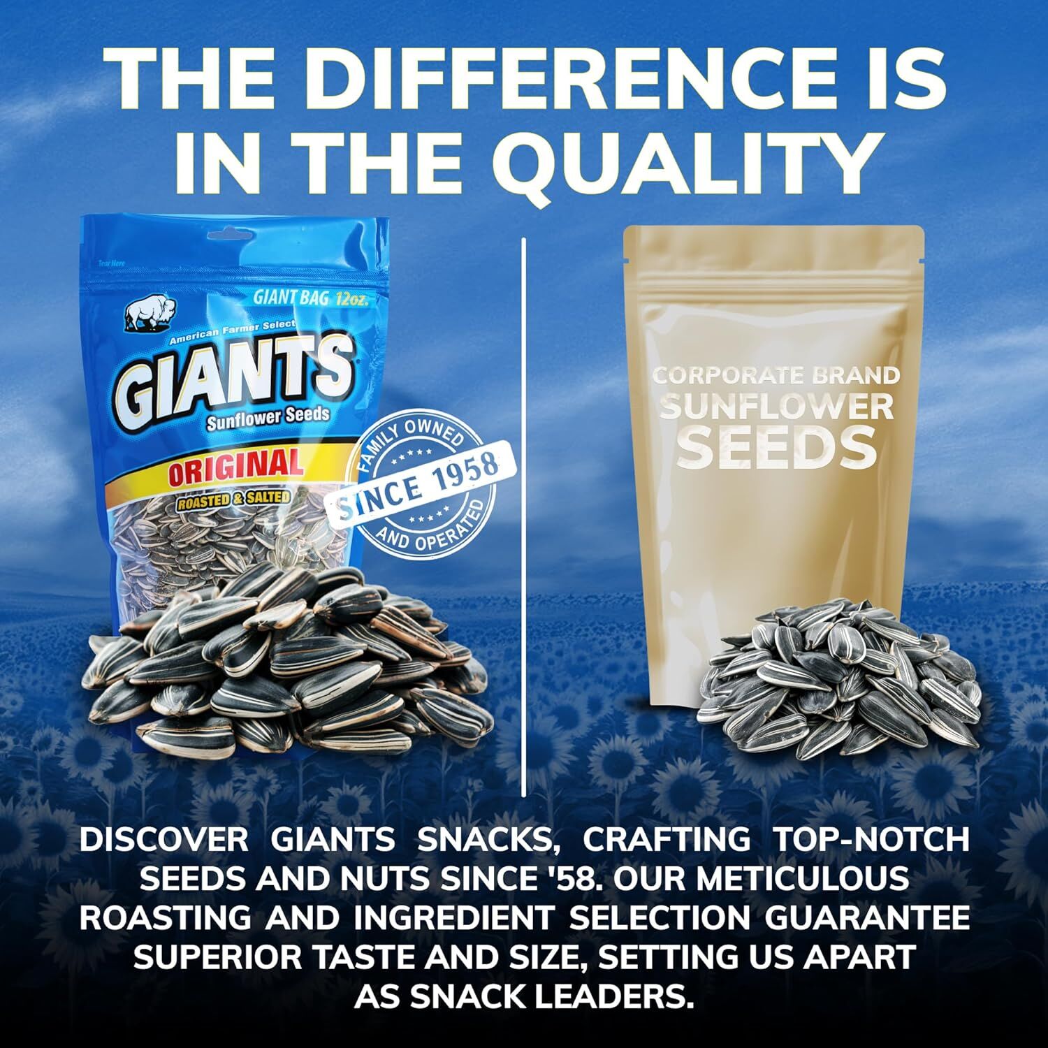 GIANTS Roasted & Salted Original Sunflower Seeds - 12 oz