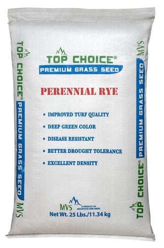 Perennial Ryegrass Premium Bulk Grass Seed - (Sold by the Lb)