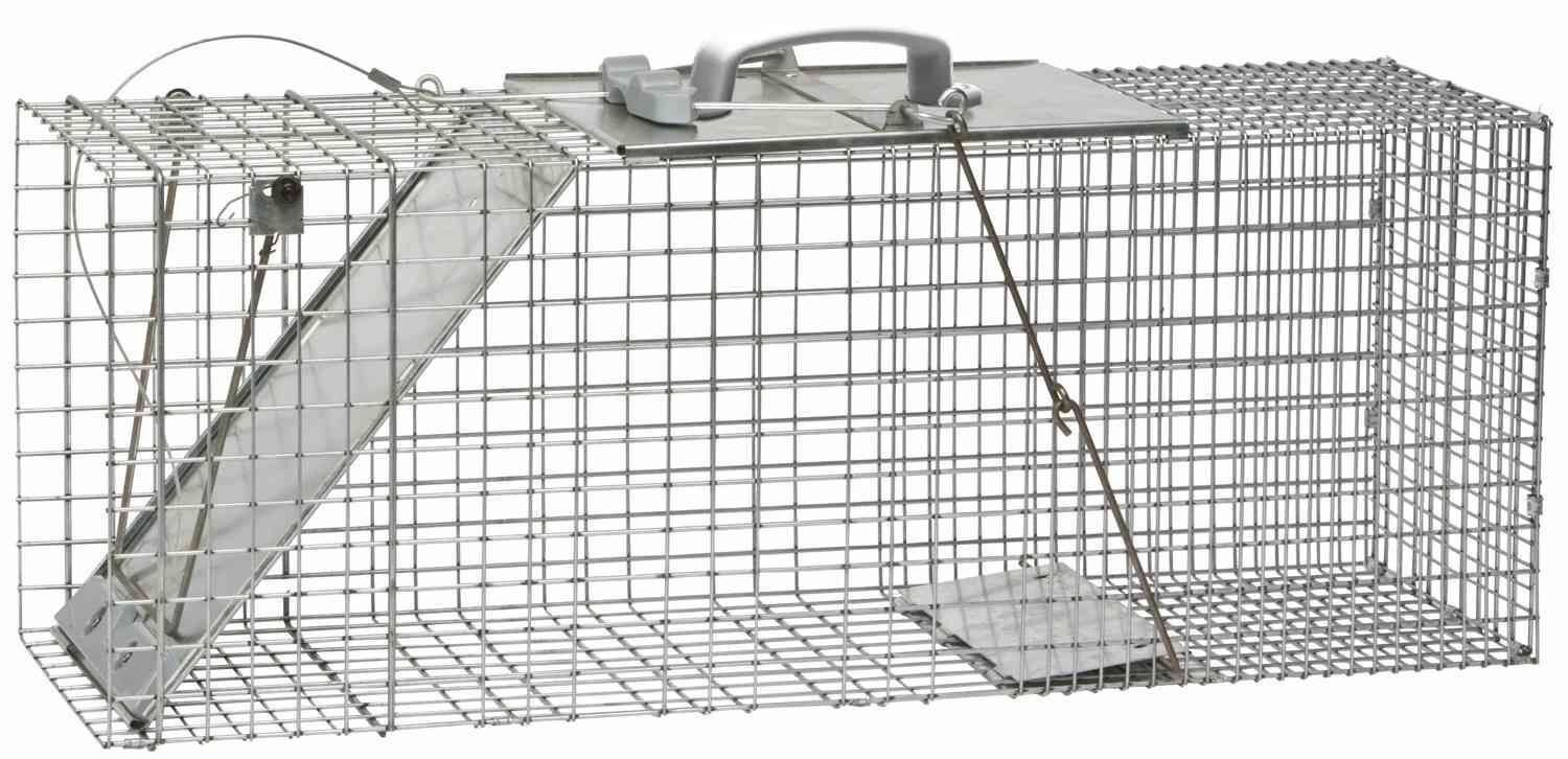 Havahart Easy Set Large 1-Door Animal Trap - 32