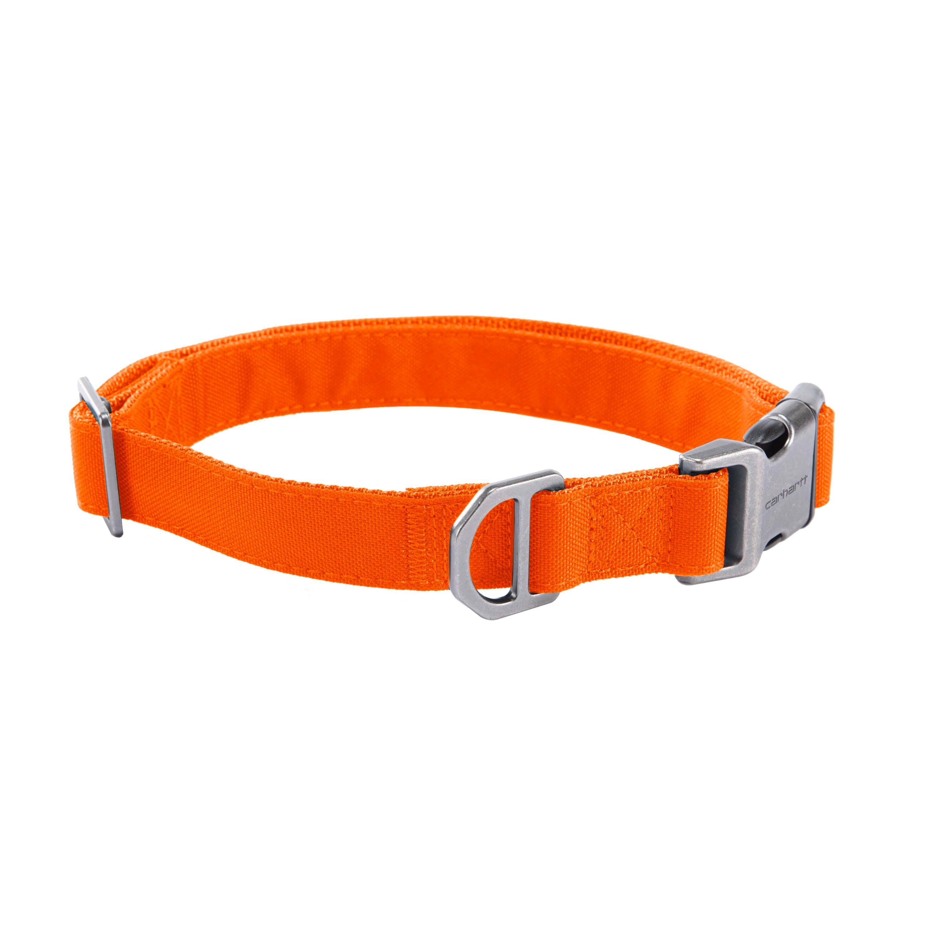 Field Dog Collar