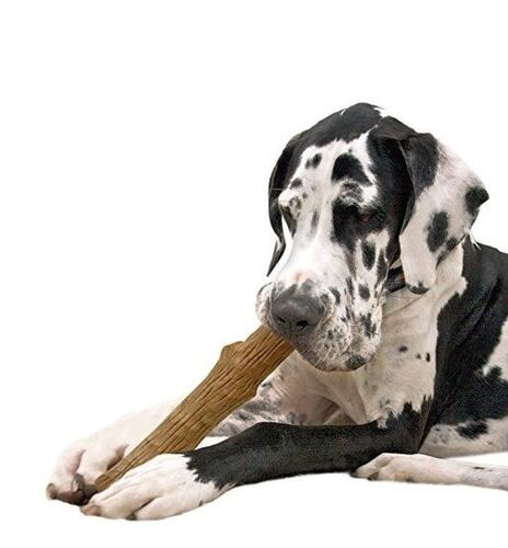 7" Dogwood Stick - Medium