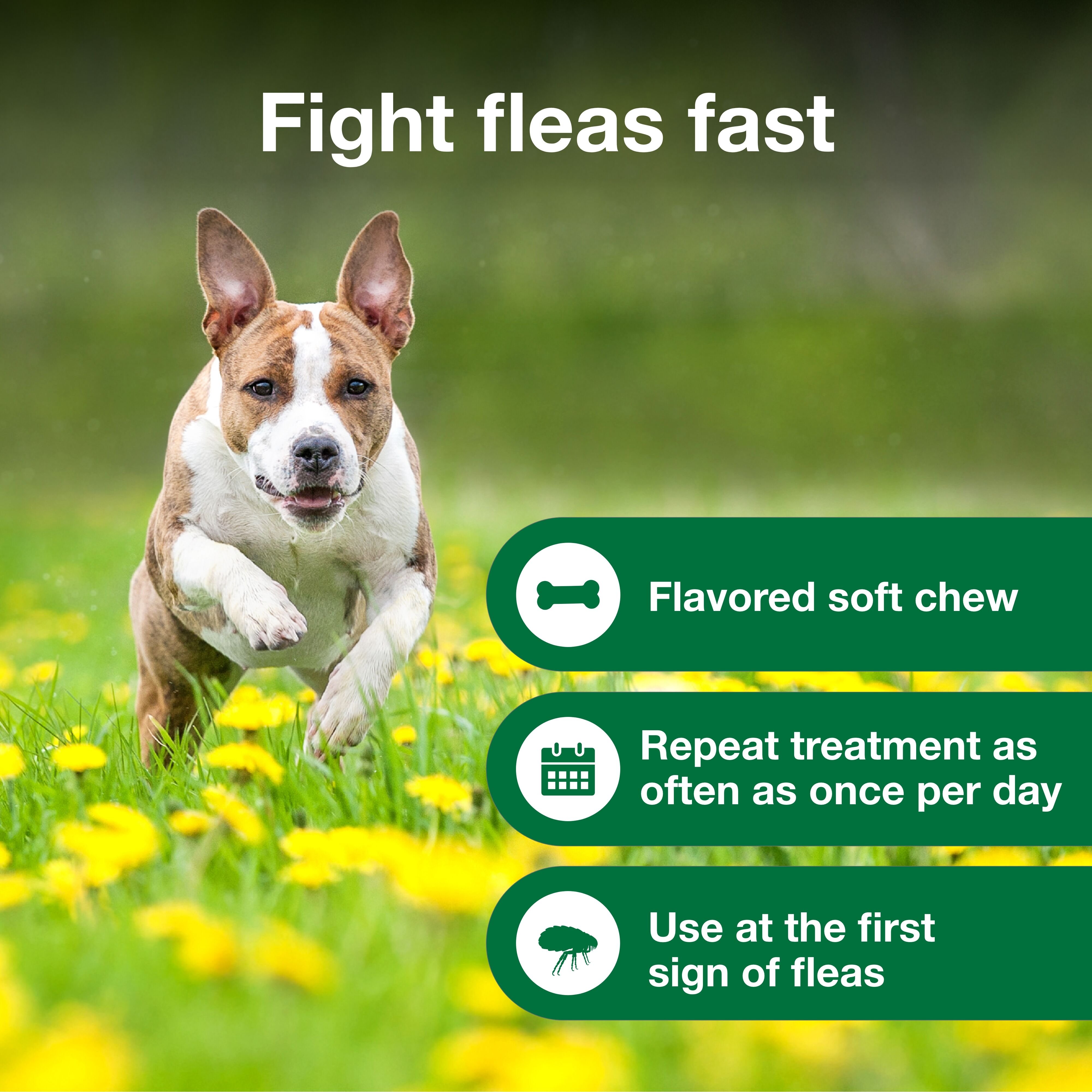 Chewable Flea Treatment