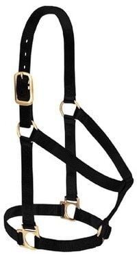 Basic Non-Adjustable Halter in Black - 1" Average