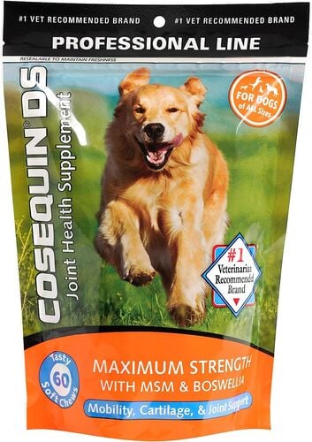 Max Strength with MSM Joint Supplement Chews for Dogs - 60 Count