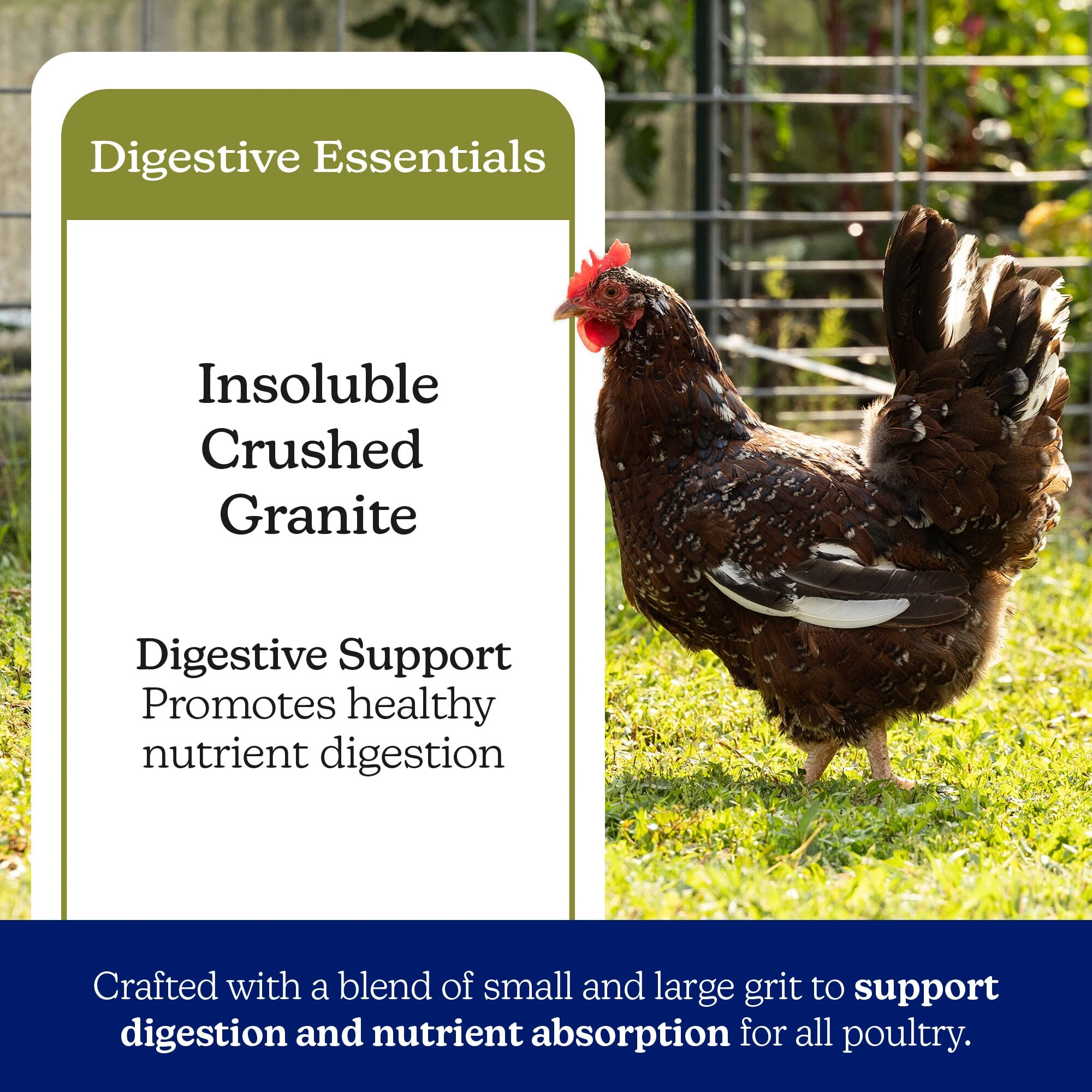 Nutrena NatureWise Poultry Grit - 7 lb