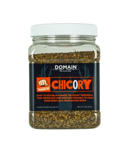 Pounder - Chicory Food Plot Seed