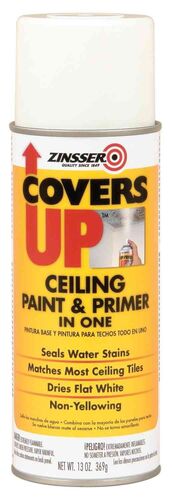 Covers Up Stain Sealing Ceiling Paint