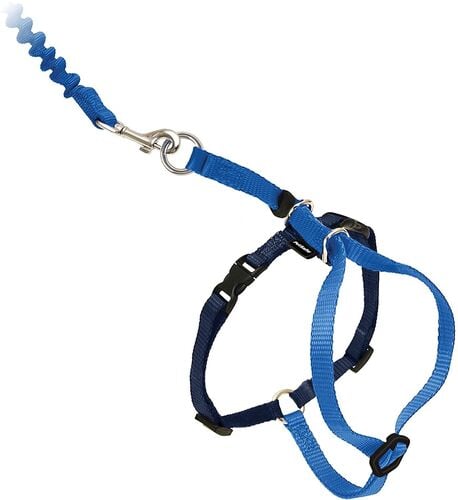 Come With Me Kitty Harness and Bungee Leash Large in Royal Blue/Navy