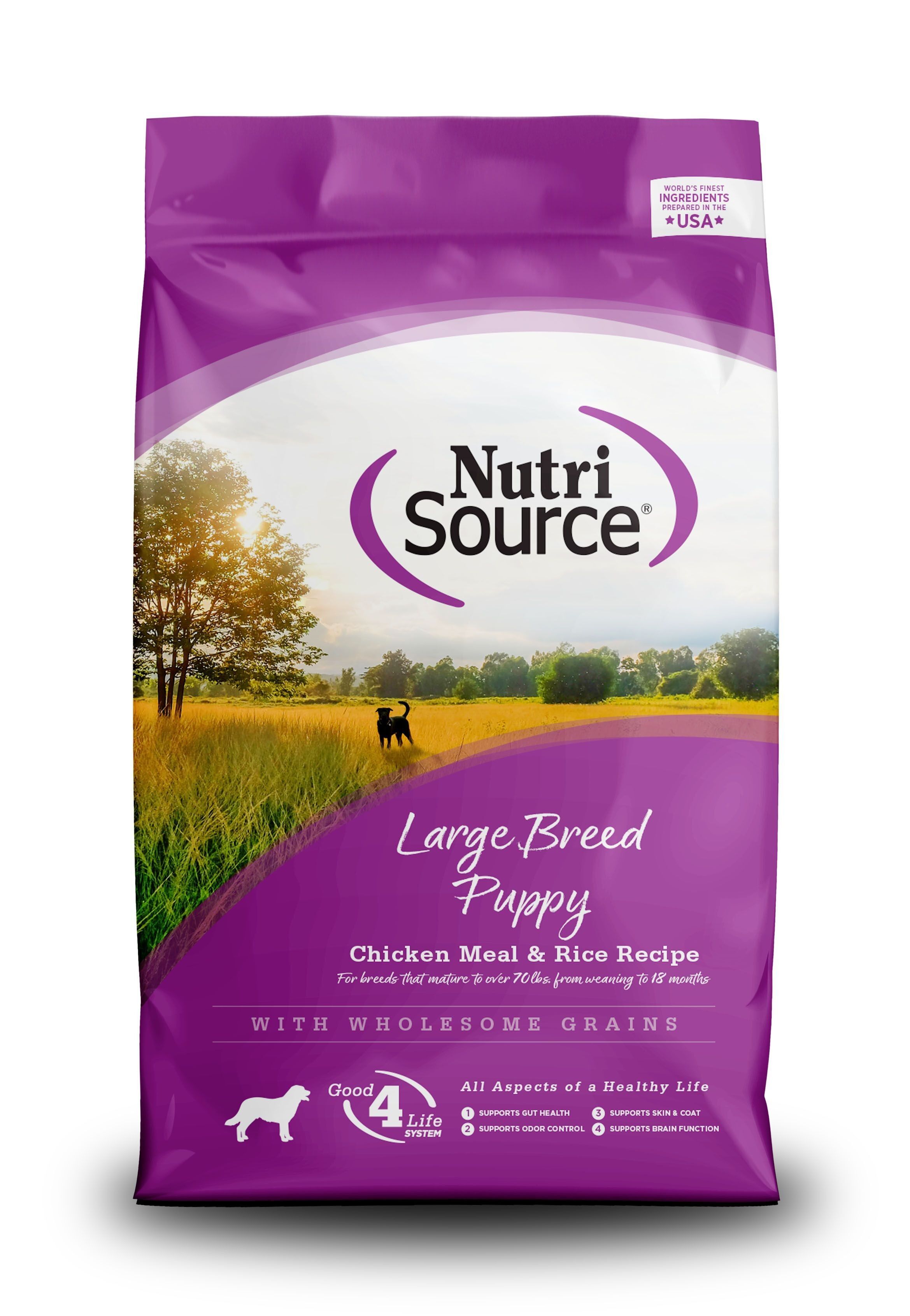 Large Breed Puppy Chicken Meal & Rice Recipe Dry Dog Food