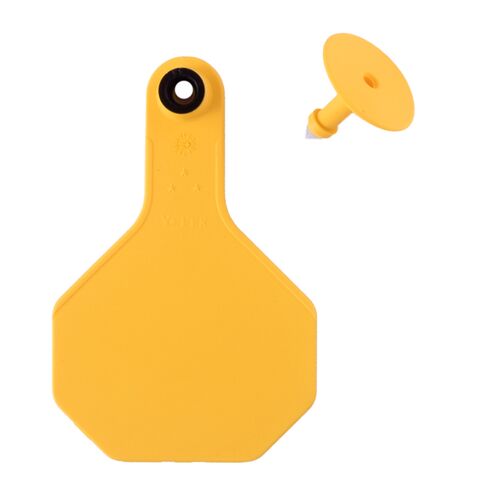 All-American 3* Medium Blank 2-Piece Ear Tag in Yellow - 25 Tags