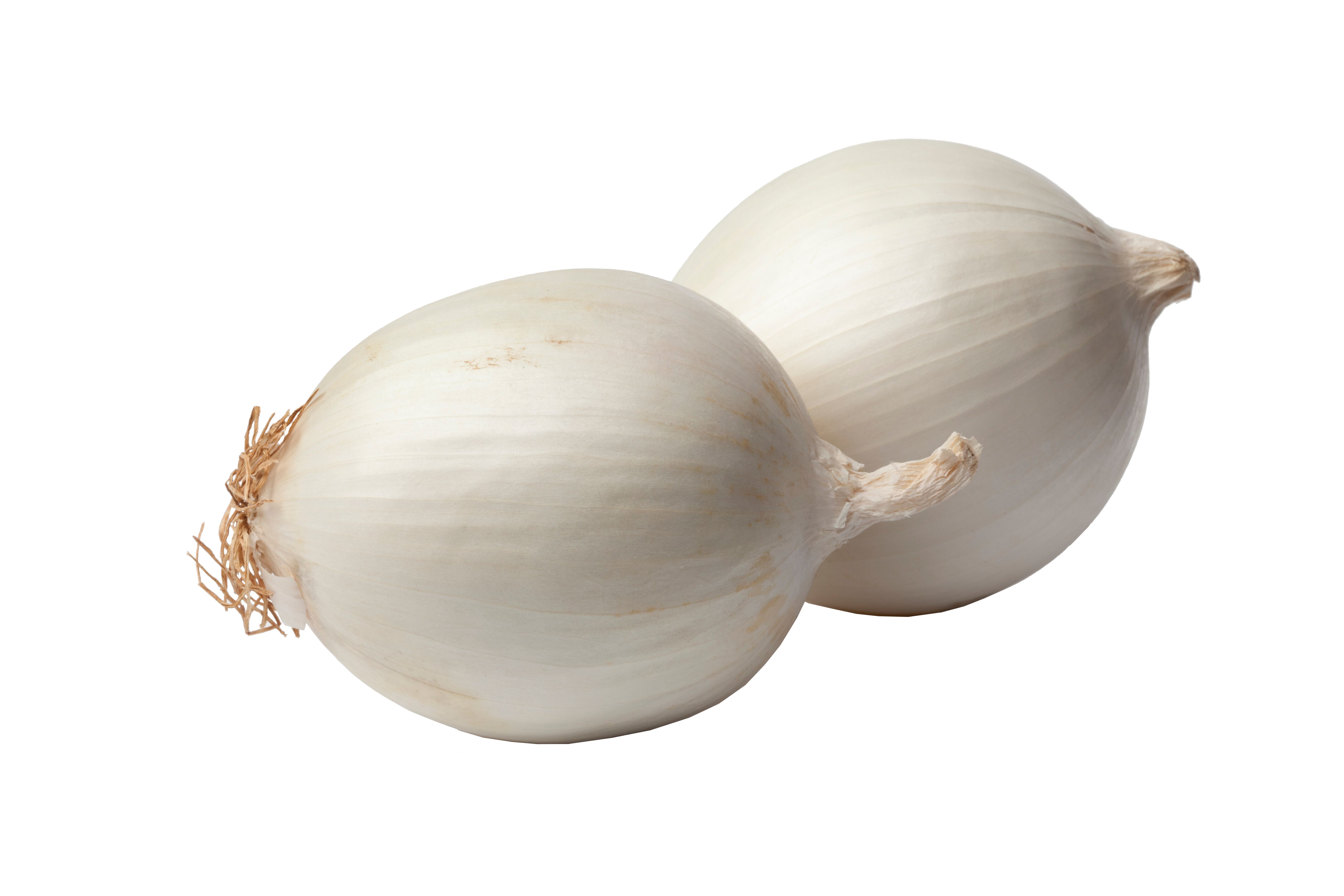 Dutch Valley Growers White Bulk Onion Sets - Sold in Bulk Per Pound