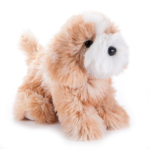 Zoologee Petz Cavapoo Plush - 11"