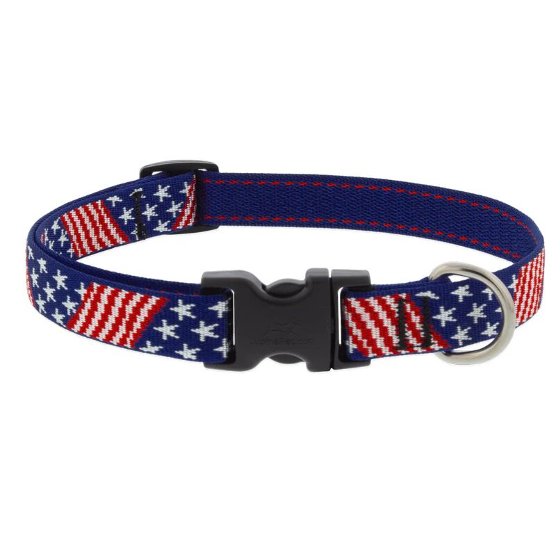 MicroBatch Dog Collar