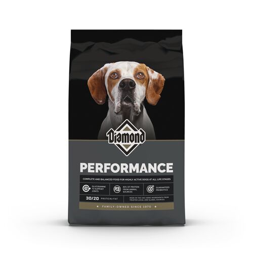 Performance Adult Dry Dog Food - 40 lb Bag