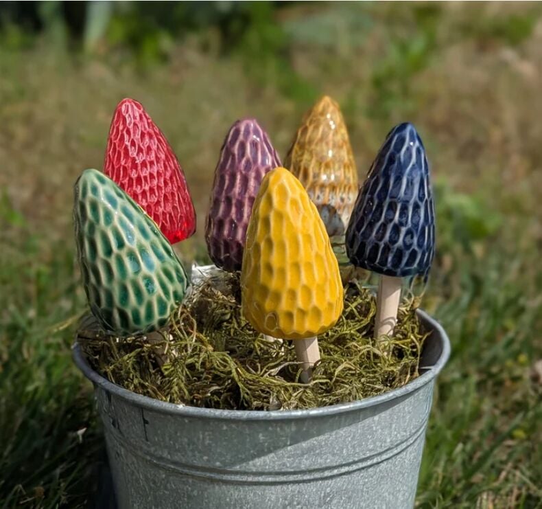 Morel Mushroom Decor