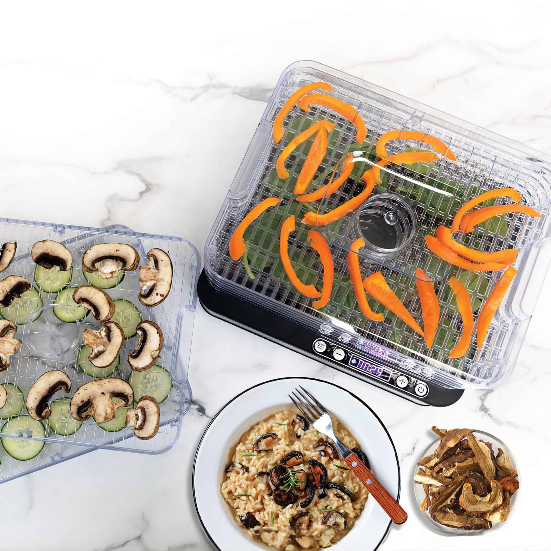 Digital 5 Rectangular Digital Tray Dehydrator - Thumbnail 5