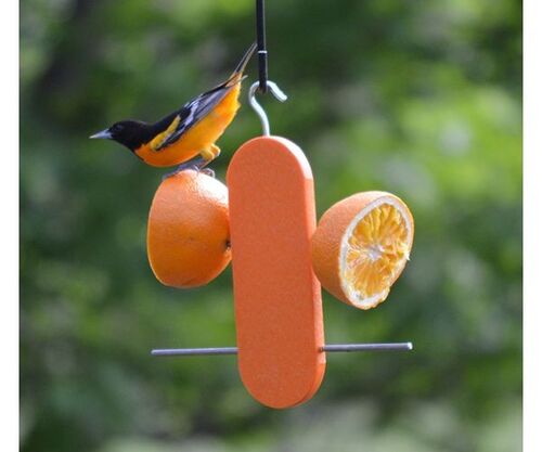 Poly Double Orange Oriole Feeder